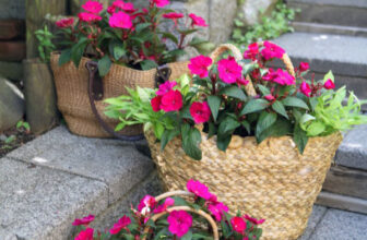 A Thrifted Straw Bag Planter for Summer