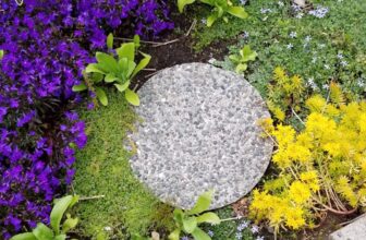 Turning Ground Cover Plants into Low-Growing Art