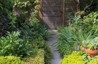 15 August Gardening Tasks to Keep Your Garden Thriving