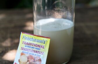 Naturally Get Rid of Mosquitoes (+ An Easy DIY Mosquito Trap)