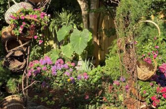 Basket arbor, containers galore in Pam Beasley’s Memphis garden