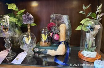 Circle-of-life botanicals at Terrorium in Denver