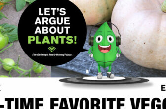Episode 184: All-Time Favorite Vegetables