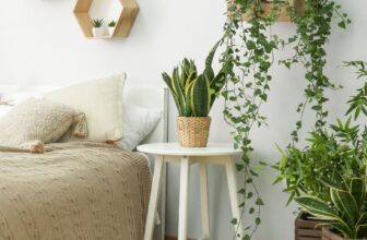 10 Plants That Eliminate Stinky House Smells (No Air Fresheners!)