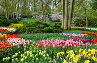 12 Summer Bloomers That Never Quit (Your Garden Will Thank You!)