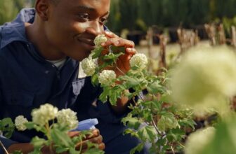 Top 12 Fragrant Plants Your Home Is Begging For –