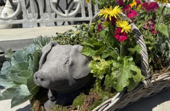 Shopping at Millstone Market & Nursery at Memphis Fling