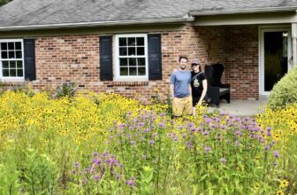 hard-working beauty: 3 eco-minded design webinars