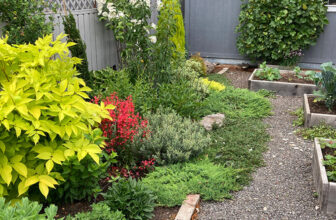 Cathy Adjusts to a New Garden in Oregon