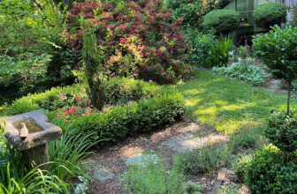 Garden Updates From Criss in Ohio