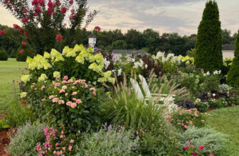 July in Teresa’s Maryland Garden
