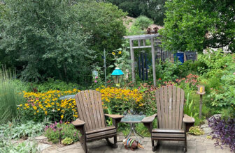 Sharon’s Wildlife-Friendly Backyard Garden in Dallas