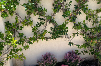 Ponte Vedra Beach Garden Tour: Karen’s Tropical Cottage Garden