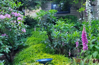 Deborah’s Mountain Garden on Vancouver Island