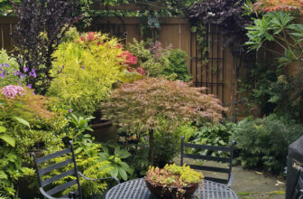 Jen’s Washington Garden, Filled to Its Brim