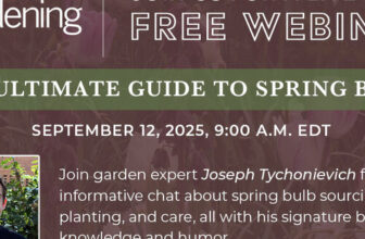 Spring Bulbs Q&A – Webinar with Joseph Tychonievich