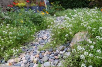 Design a Dry River Bed and Solve Your Drainage Problem