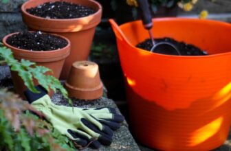 Quick Tips for Busy Gardeners