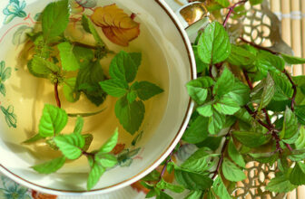 Growing a Tea Garden – Fine Gardening