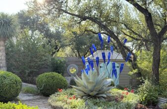 Rounding the bend to fall (I hope)