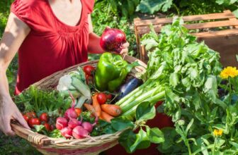 15 Plant-Once Perennial Veggies That Transform Your Garden Game Forever –