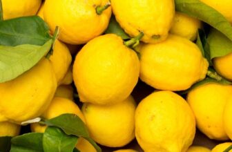 This $3 Lemon Hack Banished Mosquitoes From My Yard