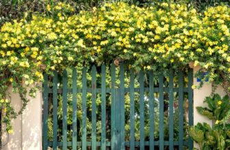 How 12 Flowering Vines Create Instant Privacy