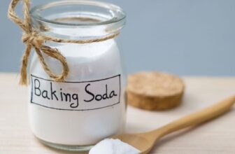 Is Your Plant Struggling? My Nana’s Baking Soda Trick Changed Everything