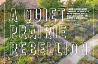 A Quiet Prairie Rebellion: My article in American Gardener