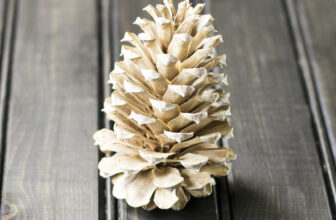 How to Make GORGEOUS Bleached Pinecones