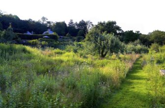 improving your garden’s legibility, with leslie needham