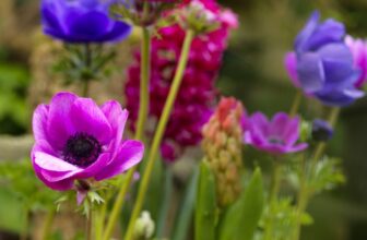 How to Plant Fall Bulbs for Long-Lasting Spring Colour