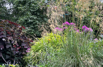 Jeanne’s Midsummer Garden in Washington