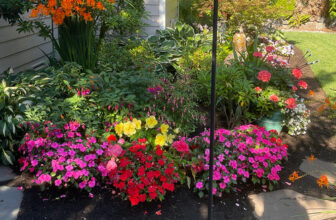 Lila’s August Color in Washington