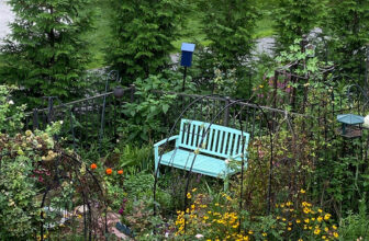 Summer Scenes in Dot’s Pennsylvania Garden, Part 1