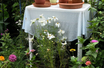 Summer Scenes in Dot’s Pennsylvania Garden, Part 2