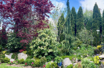 Kirk’s Washington Garden in Panoramas