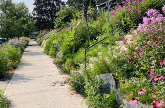 GPOD on the Road: Susan’s Sampling of Sensational Front Gardens