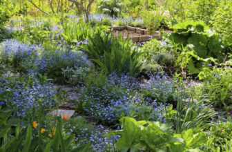 The 25 Best Practices for Regenerative Gardening