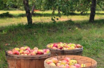 The Complete Fall Garden Checklist