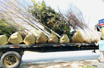 planting and watering wisdom, from jenks farmer’s new book