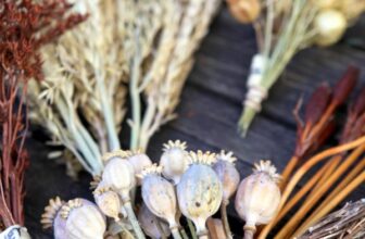 How to Dry and Preserve Flowers, Leaves, and Pods for Crafting