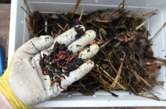 Vermicomposting: The Complete Guide to Worm Castings