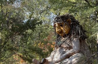 Playing at Pease Park: Treehouse and Dambo troll