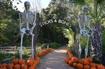 Scaring up a good time at Quinta Mazatlan for Sticks & Bones and Planta Nativa