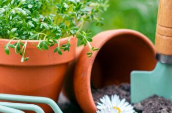 Are You Tossing Garden Gold? 10 Brilliant Ways to Rescue Old Pots –
