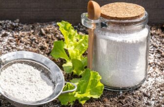 10 Mind-Blowing Ways Baking Soda Rescues Your Garden (That Seem Like Magic!) –