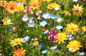 The Secret Spring Flower List Most Garden Experts Keep to Themselves –
