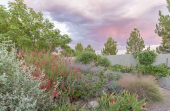 Learn how Texas gardeners are adapting to weather extremes, making gorgeous gardens
