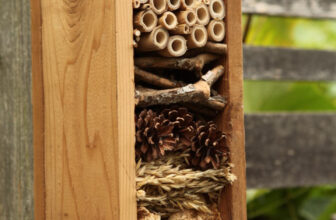 How to Build a Bug Hotel
